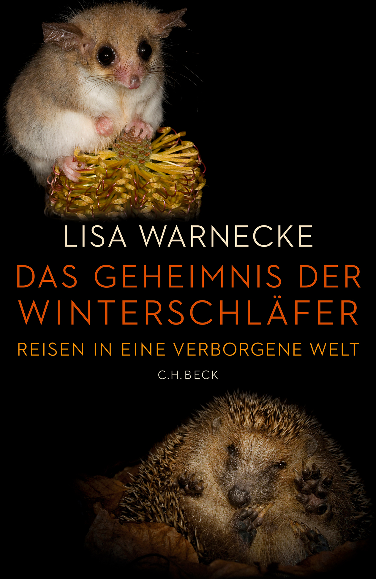 Das Geheimnis der Winterschläfer von Lisa Warnecke