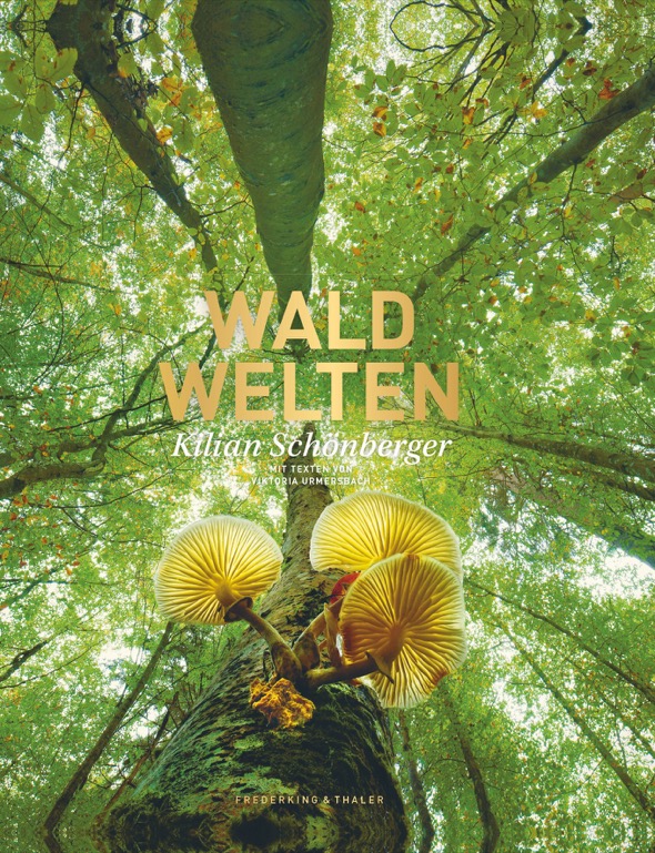 Waldwelten von Kilian Schönberger