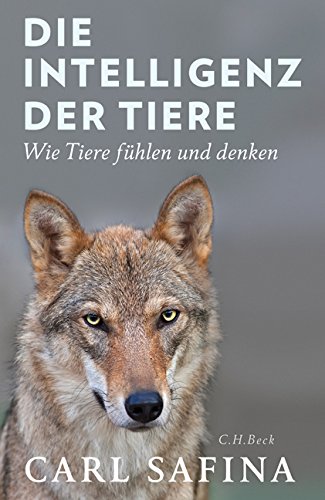 Die Intelligenz der Tiere von Carl Safina