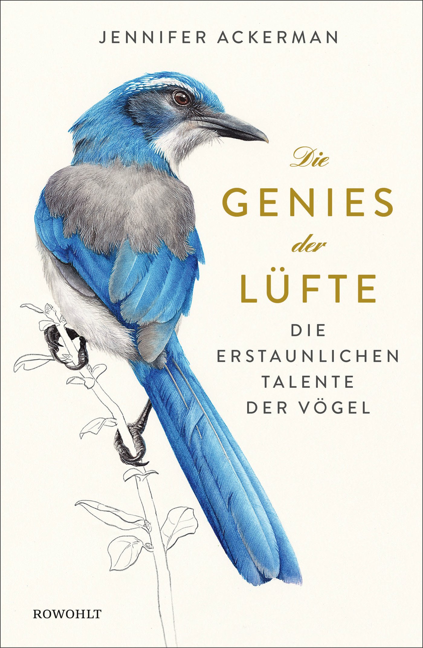 Die Genies der Lüfte von Jennifer Ackerman
