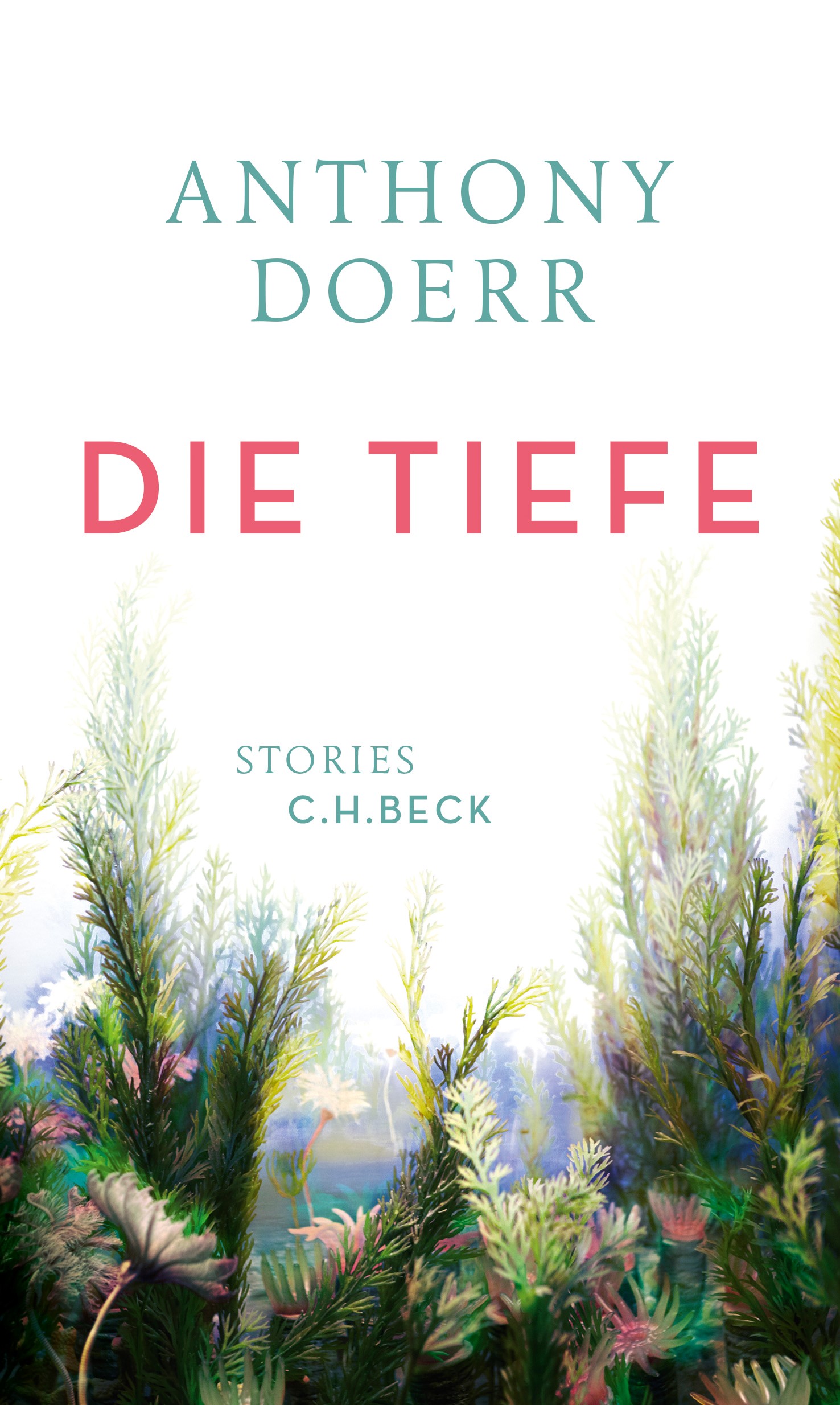 Die Tiefe von Anthony Doerr