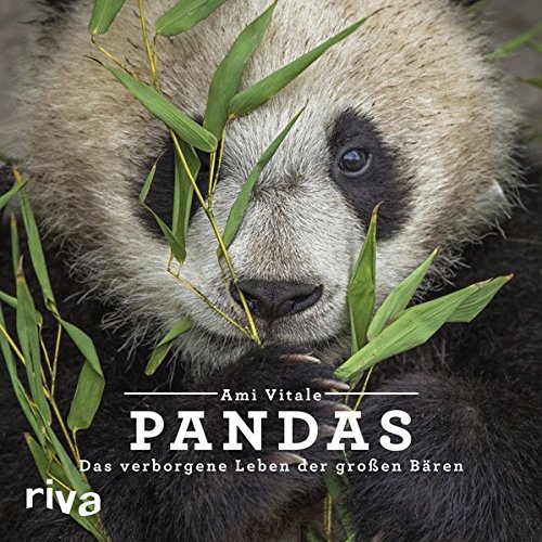 Pandas von Ami Vitale