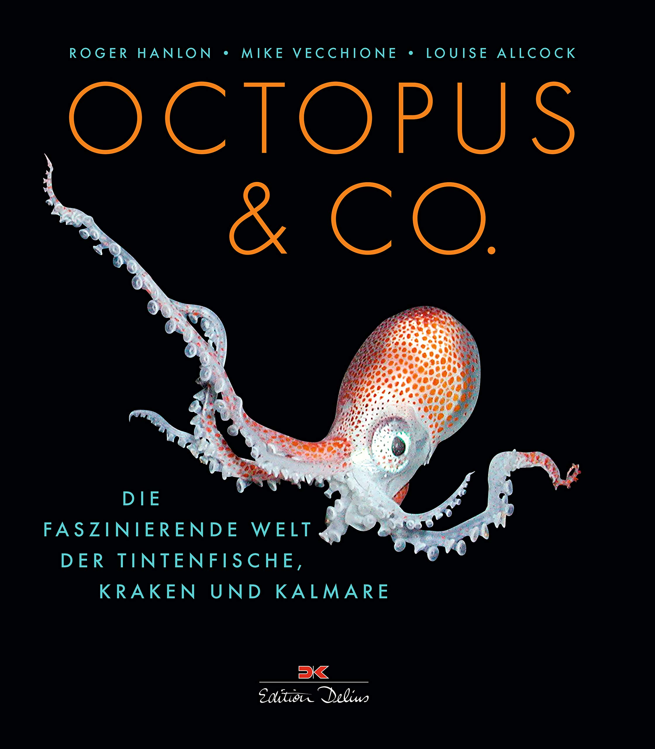 Octopus & Co. Die faszinierende Welt der Tintenfische, Kraken und Kalmare von Roger Hanlon, Mike Vecchione und Luise Allcock