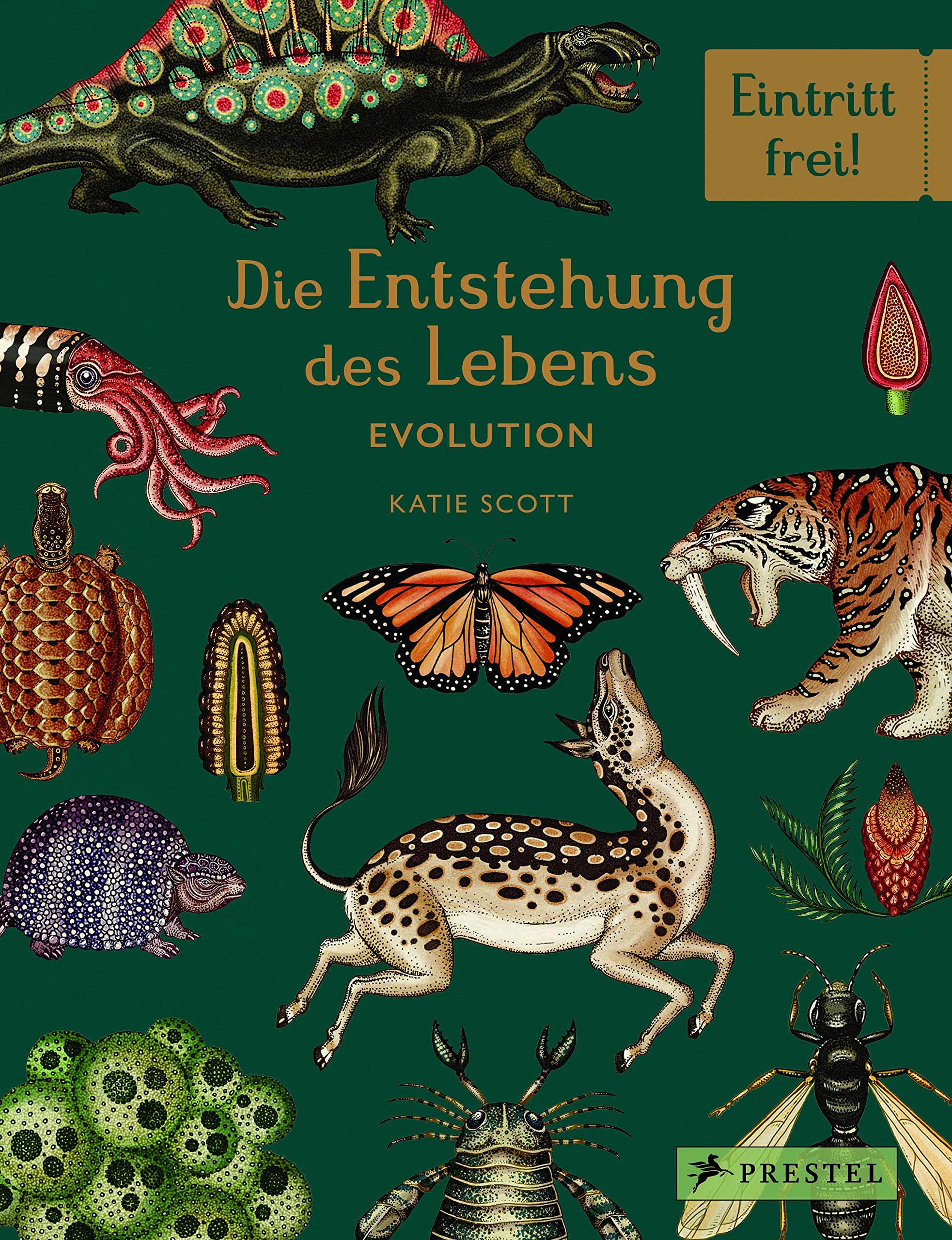 Die Entstehung des Lebens. Evolution von Fiona Munro, Ruth Symons und Katie Scott