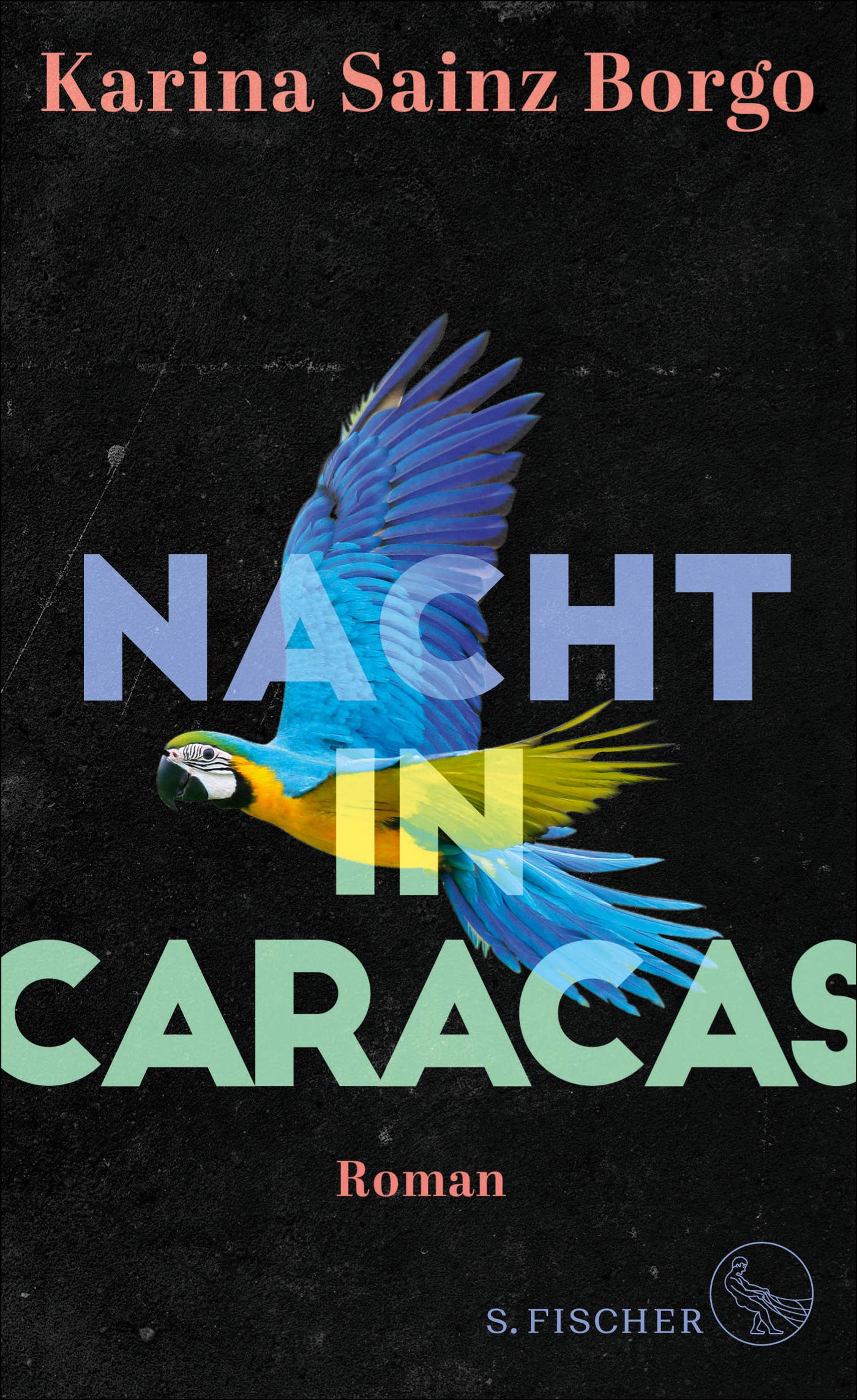 Nacht in Caracas von Karina Sainz Borgo