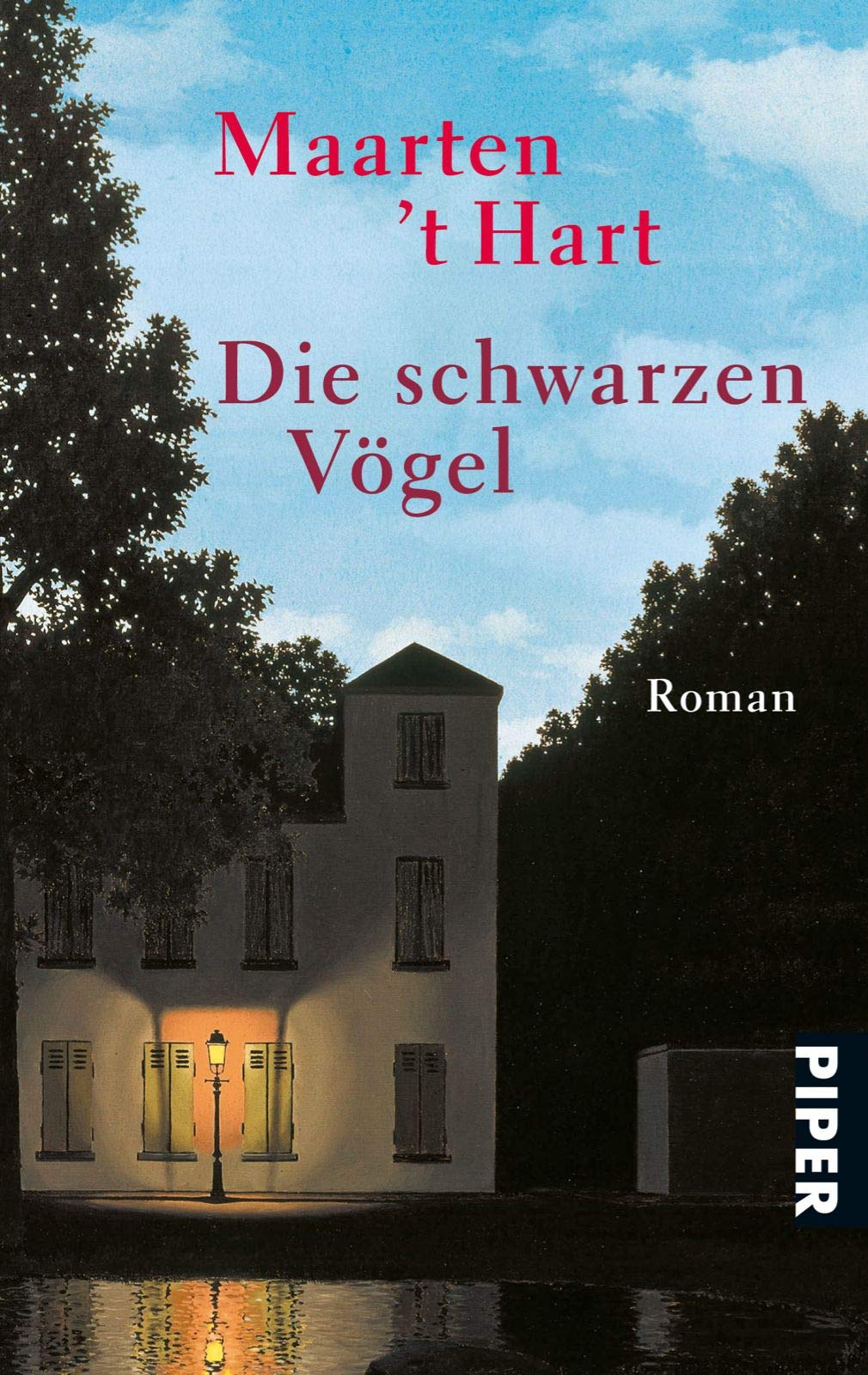 Die schwarzen Vögel von Maarten ´t Hart