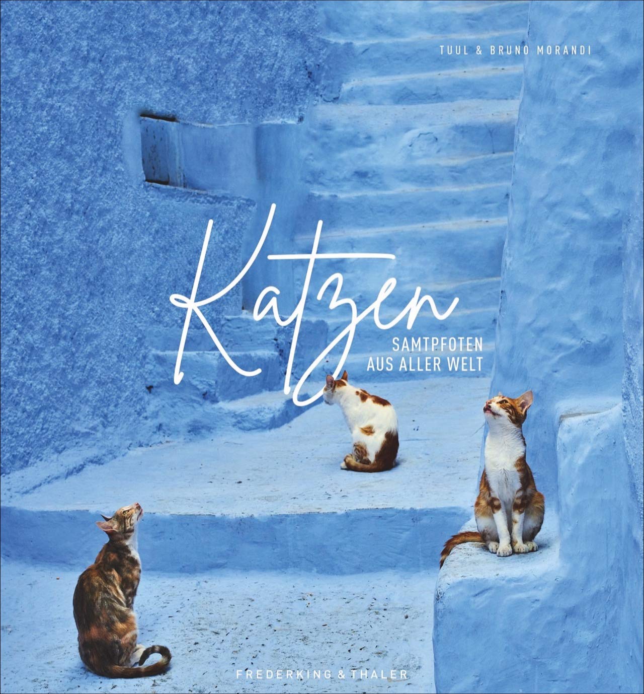 Katzen. Samtpfoten aus aller Welt von Tuul und Bruno Morandi