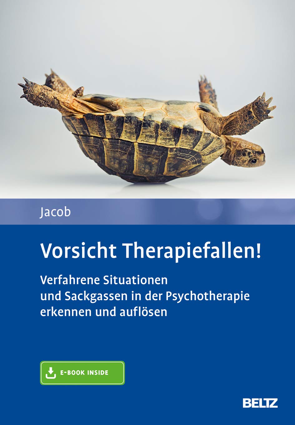 Vorsicht Therapiefallen! Verfahrene Situationen und Sackgassen in der Psychotherapie erkennen und auflösen von Gitta Jacob