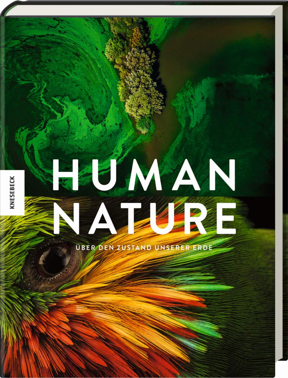 Human Nature. Über den Zustand unserer Erde von Nikki Addison (Hrsg.)