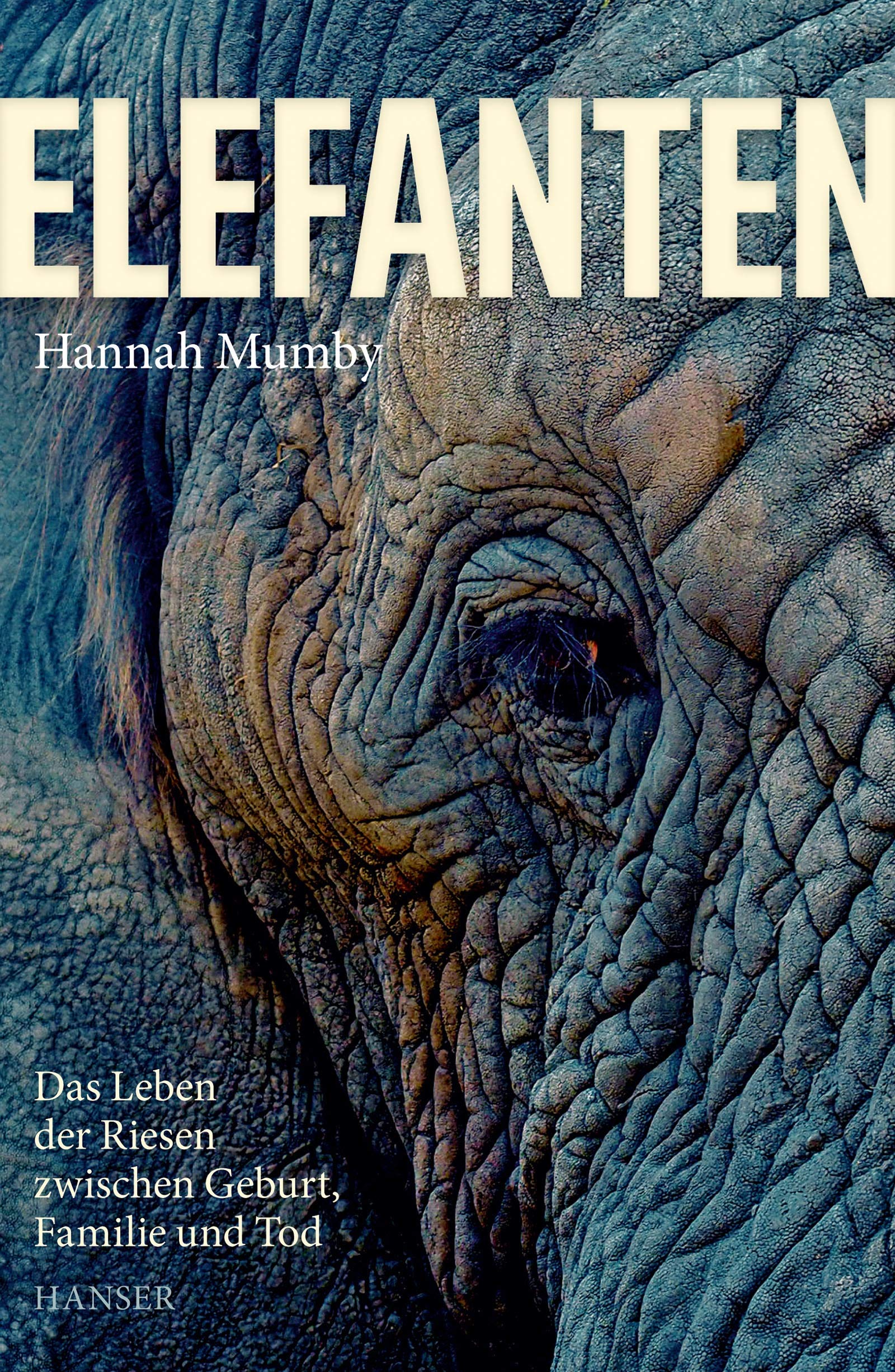 Elefanten. Das Leben der Riesen zwischen Geburt, Familie und Tod von Hannah Mumby