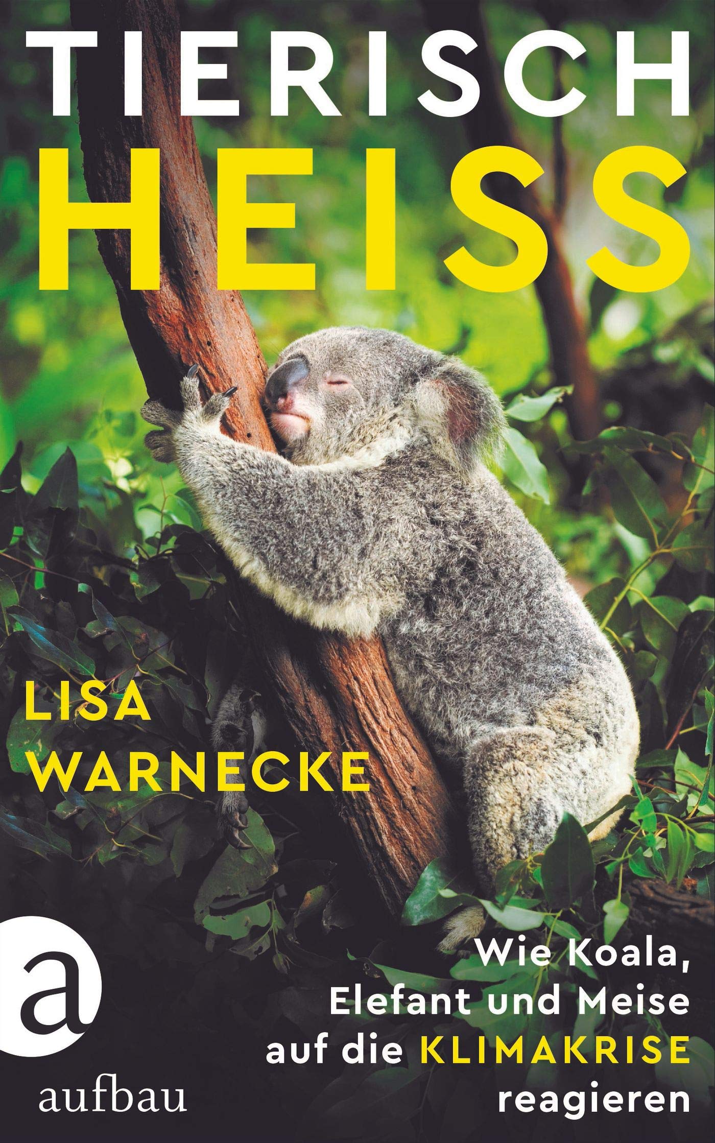 Tierisch heiß. Wie Koala, Elefant und Meise auf die Klimakrise reagieren von Lisa Warnecke