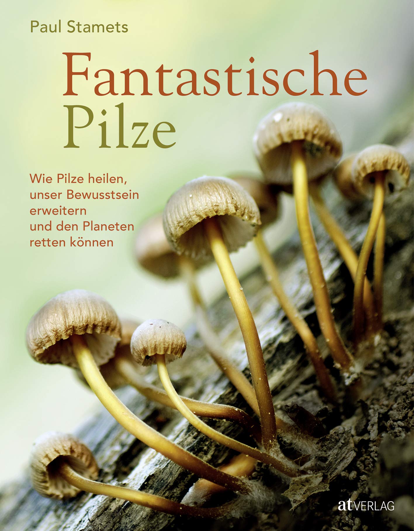 Fantastische Pilze. Wie Pilze heilen, unser Bewusstsein erweitern und den Planeten retten können von Paul Stamets