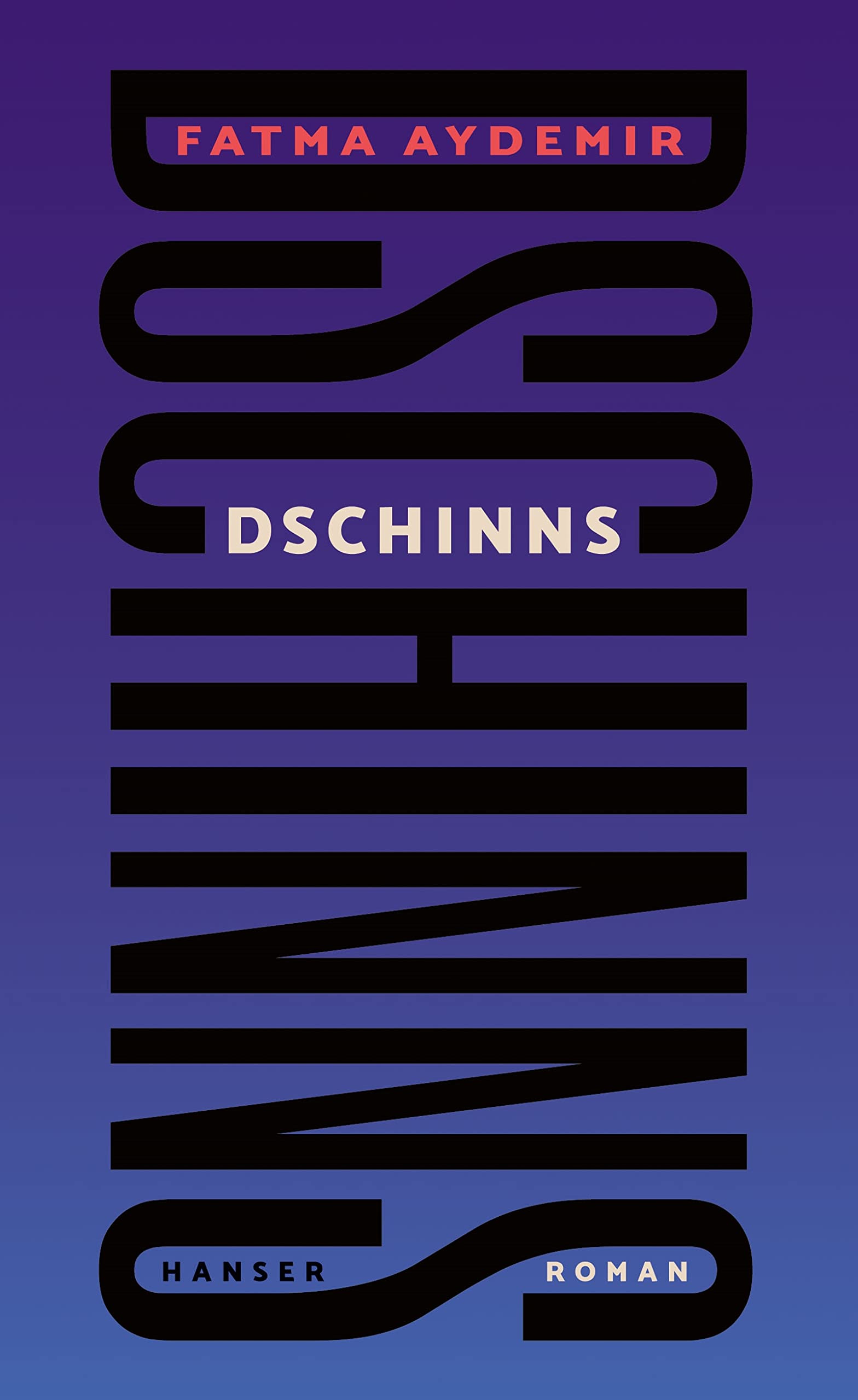 Dschinns von Fatma Aydemir