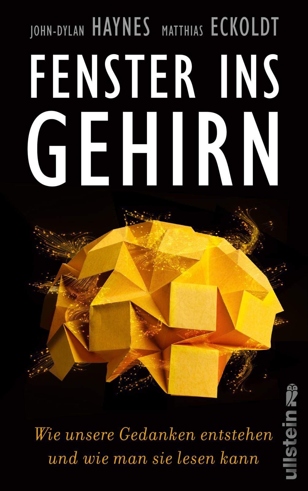 Fenster ins Gehirn. Wie unsere Gedanken entstehen und wie man sie lesen kann von John-Dylan Haynes und Matthias Eckoldt