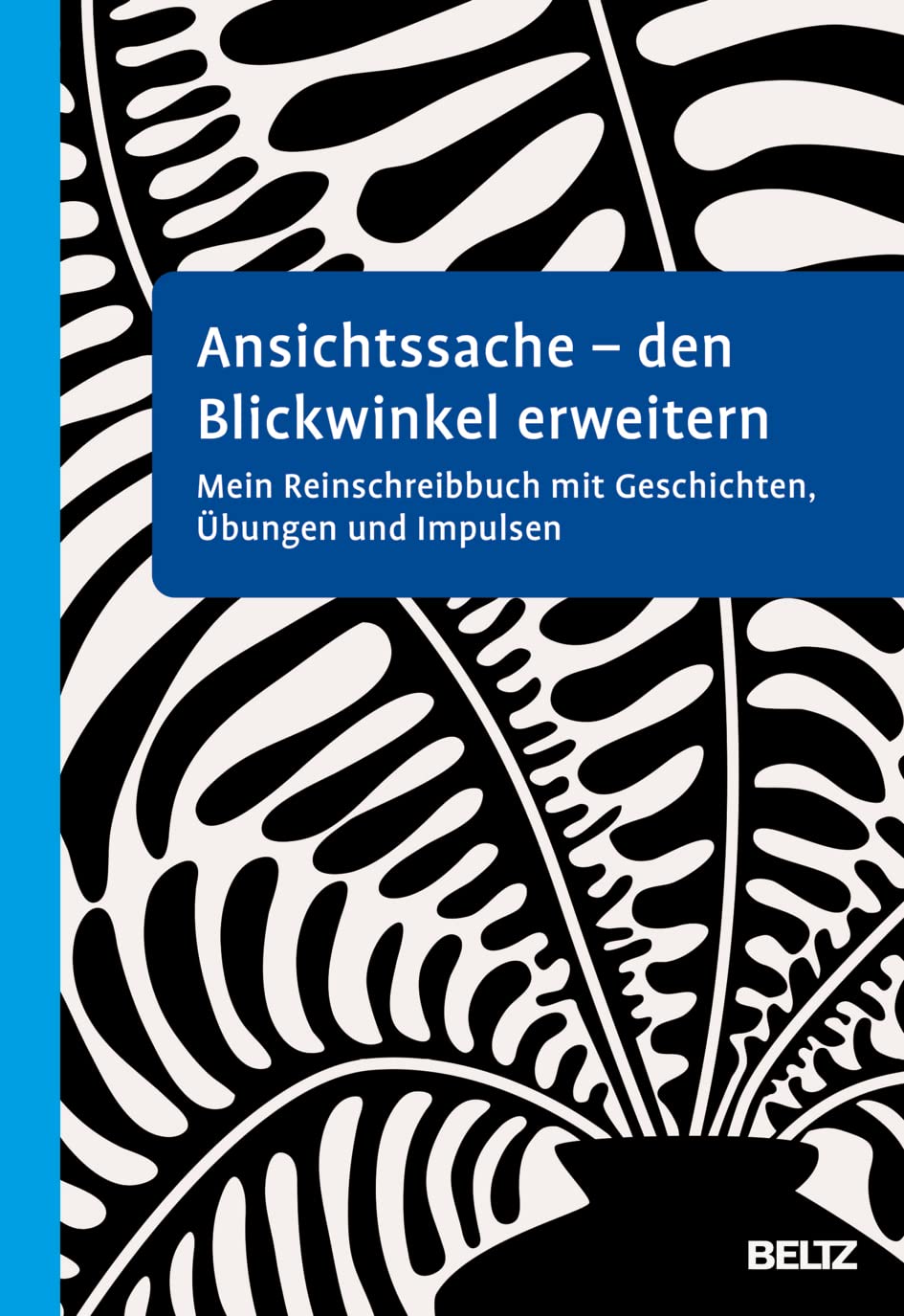 Ansichtssache - den Blickwinkel erweitern. Mein Reinschreibbuch mit Geschichten, Übungen und Impulsen von Susanne Büscher