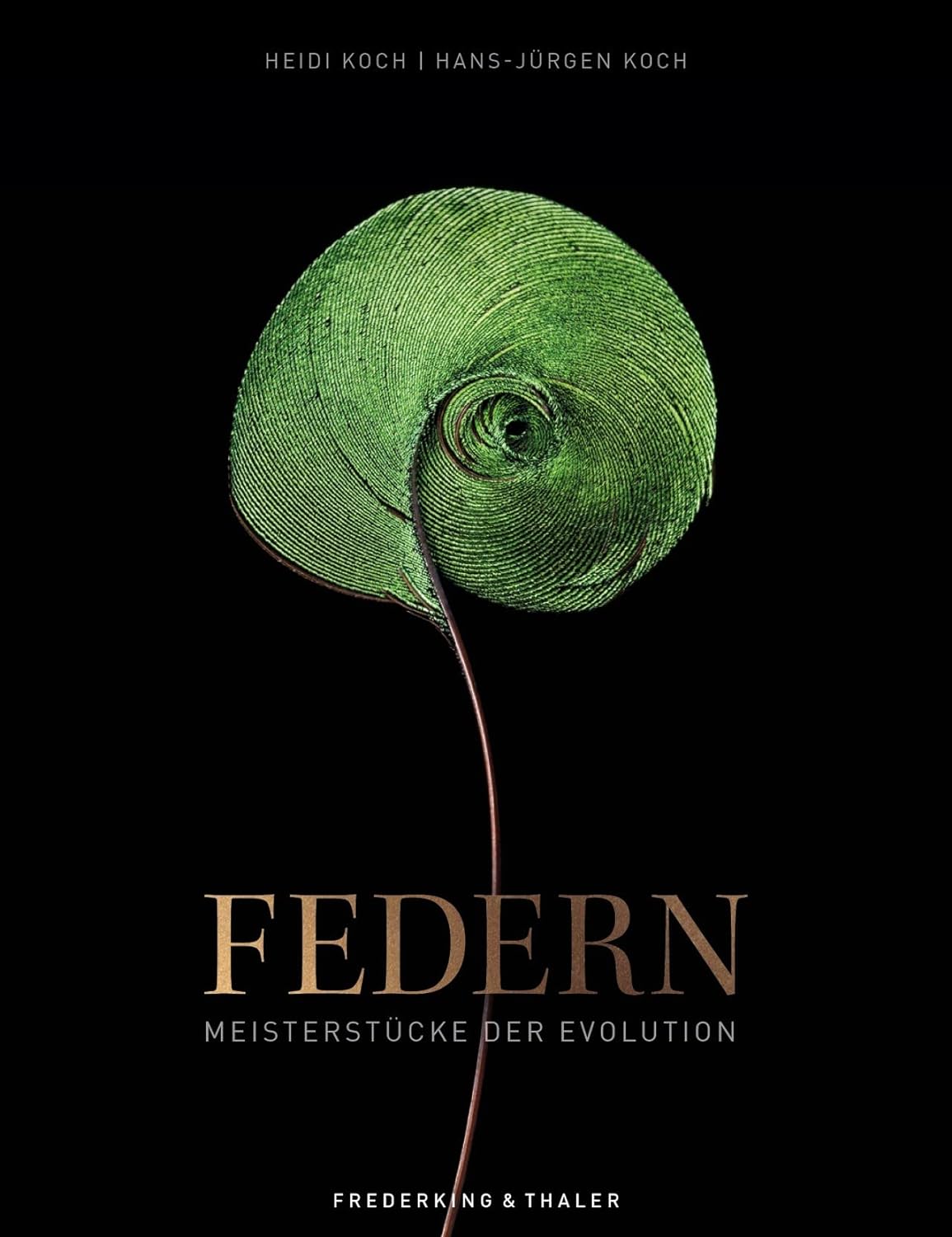 Federn. Meisterstücke der Evolution von Heidi Koch und Hans-Jürgen Koch