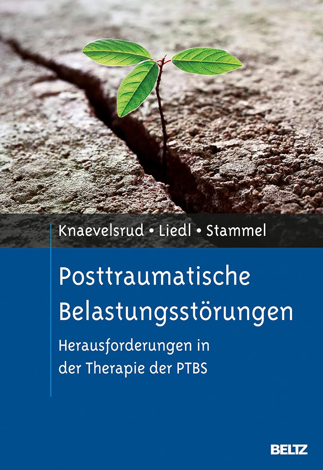 Posttraumatische Belastungsstörungen. Herausforderungen in der Therapie der PTBS von Christine Knaevelsrud, Alexandra Liedl und Nadine Stammel