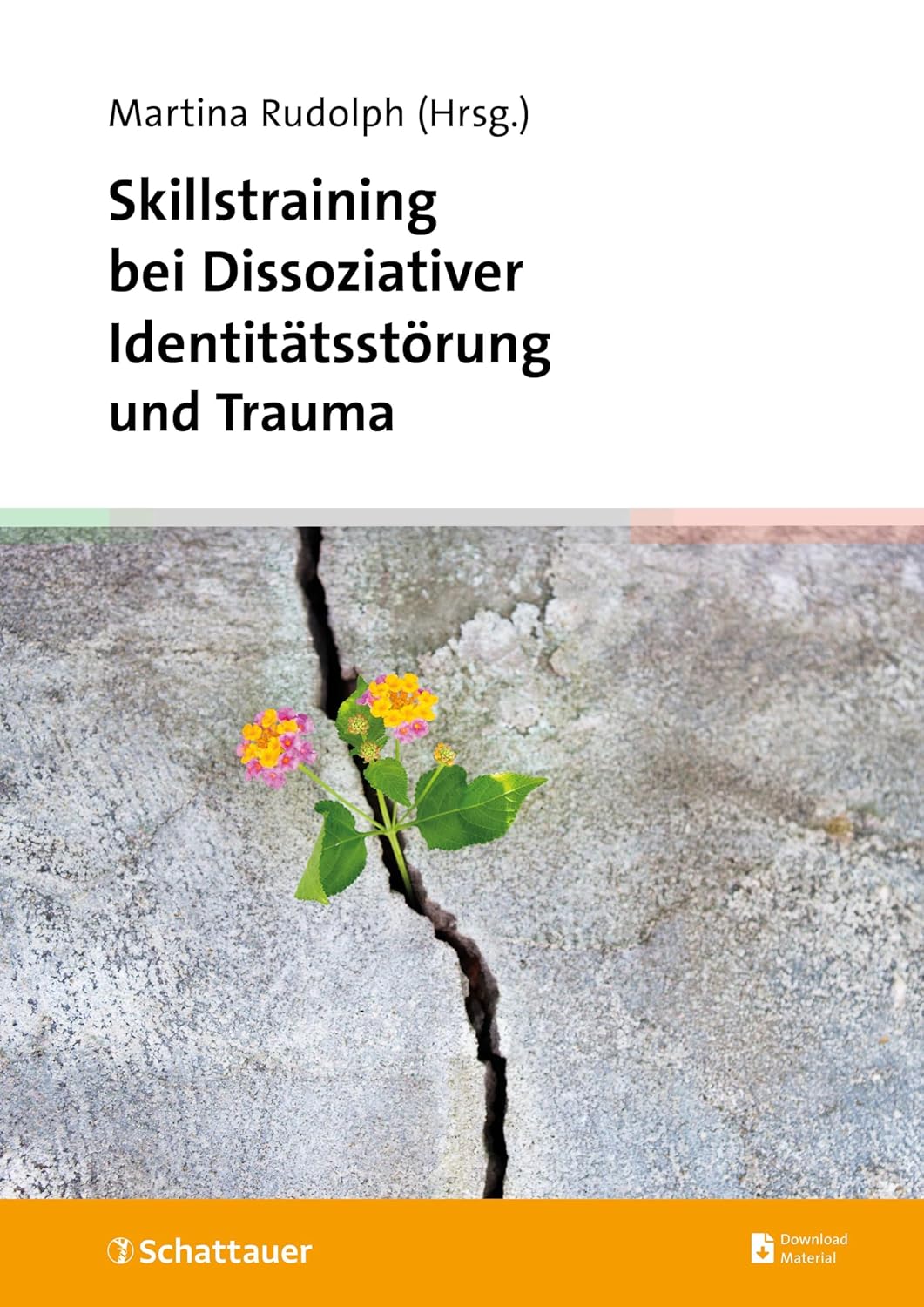 Skillstraining bei Dissoziativer Identitätsstörung und Trauma. Wegweiser durch die Behandlung der DIS von Martina Rudolph (Herausgeber)
