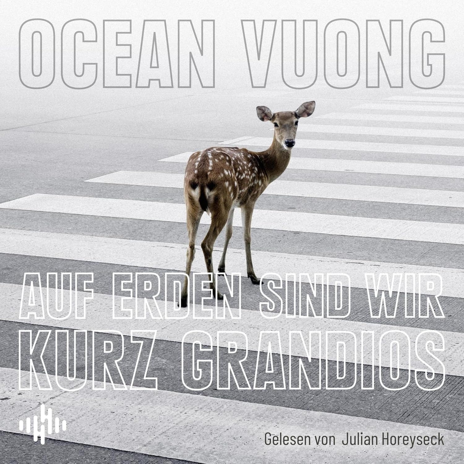 Auf Erden sind wir kurz grandios von Ocean Vuong (Hörbuch)