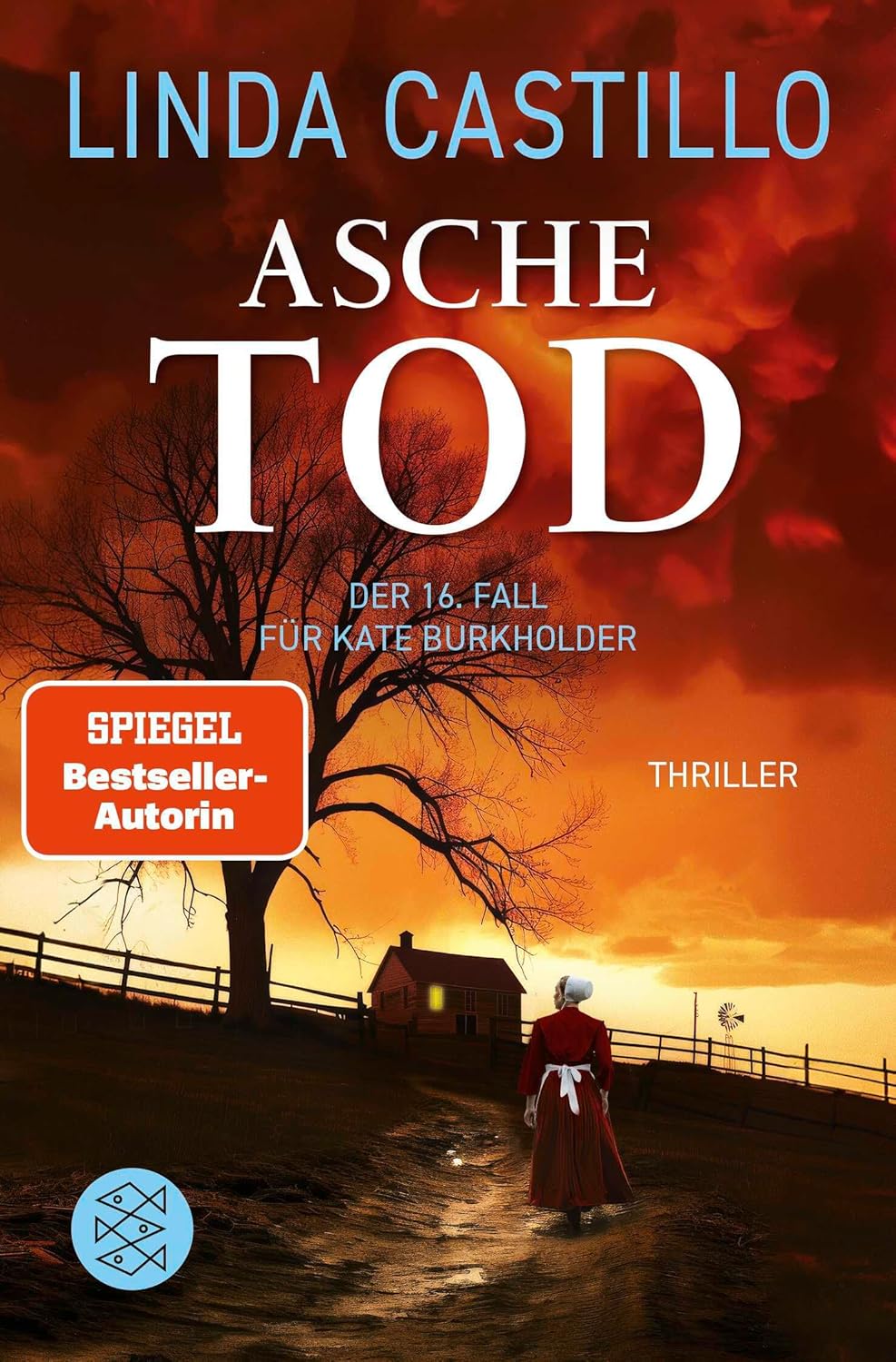 Aschetod von Linda Castillo