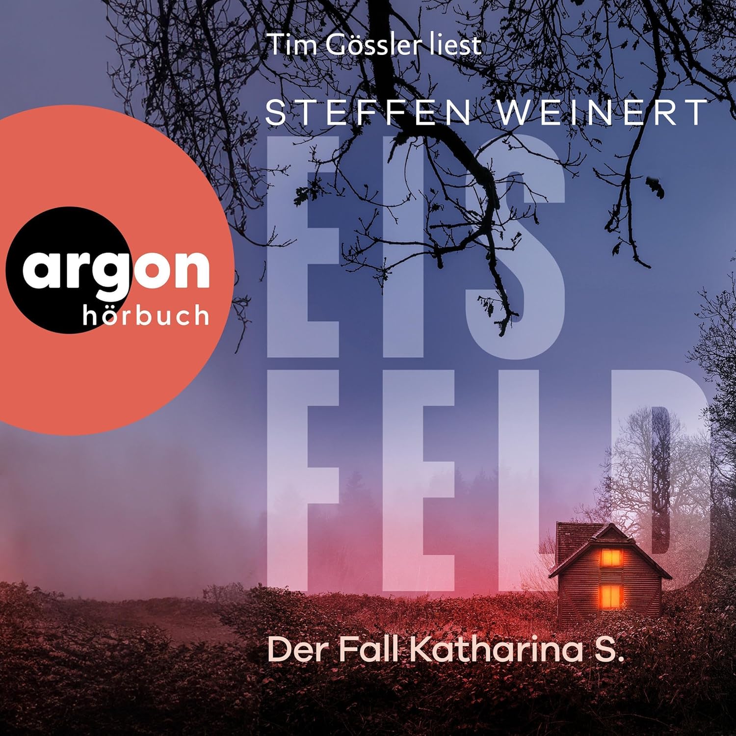 Eisfeld. Der Fall Katharina S. von Steffen Weinert (Hörbuch)