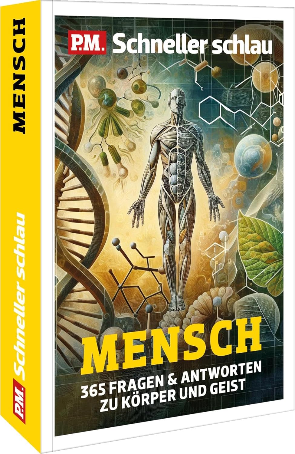 P.M. Schneller Schlau MENSCH. 365 Fragen zu Körper & Geist