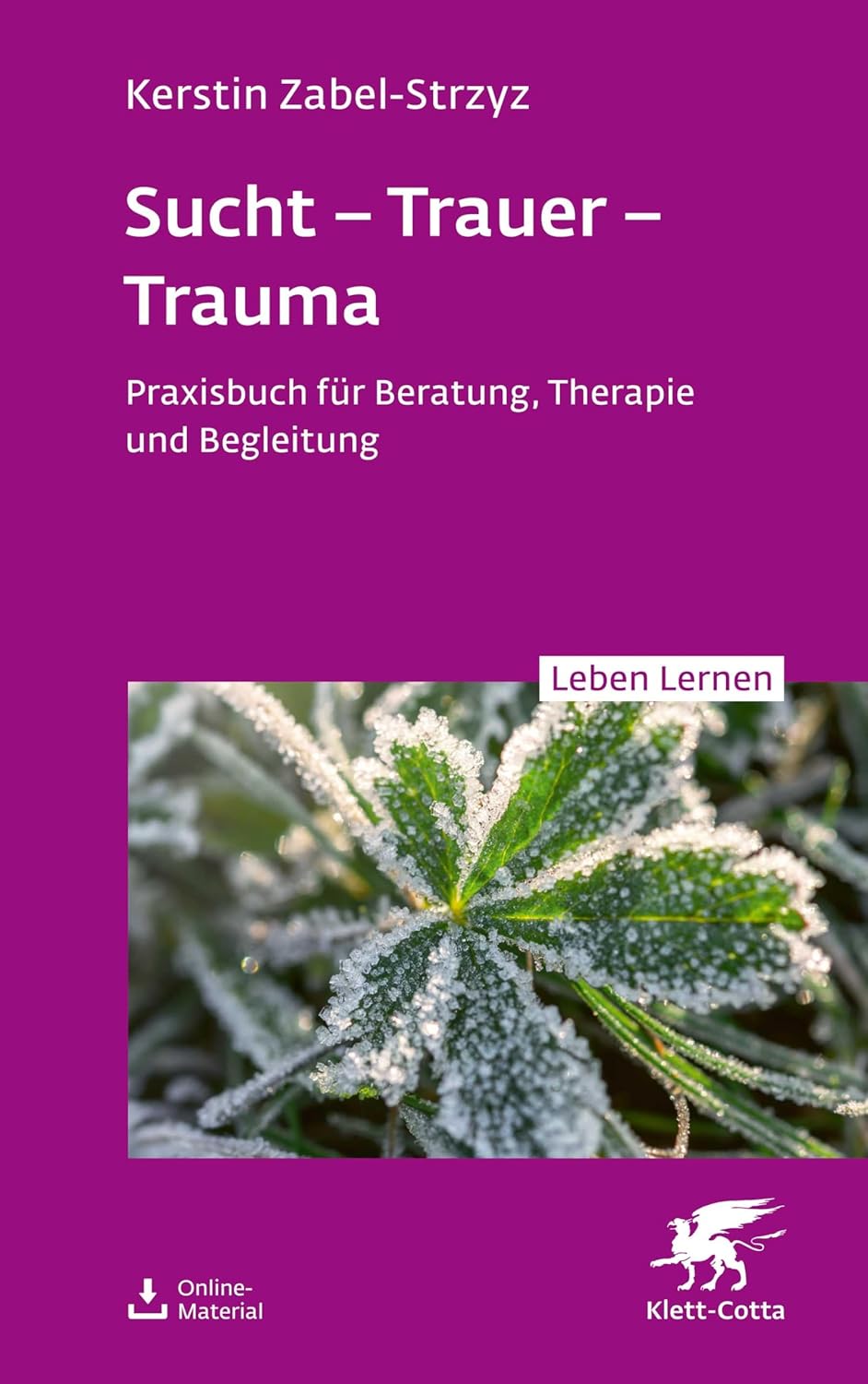 Sucht – Trauer – Trauma von Kerstin Zabel-Strzyz