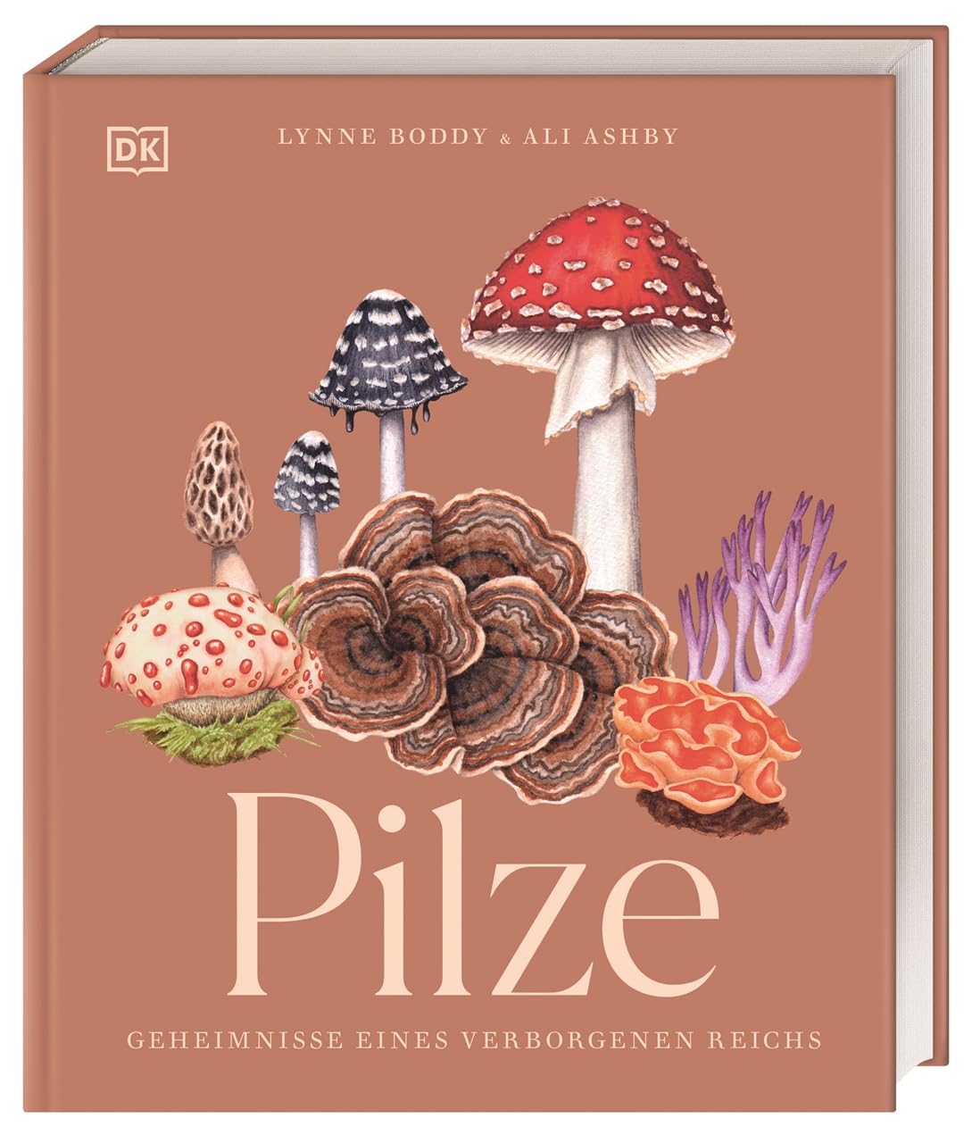 Pilze. Geheimnisse eines verborgenen Reichs von Lynne Boddy und Ali Ashby